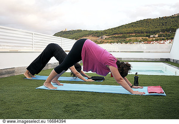 women do yoga on the terrace of the house  face down dog posture