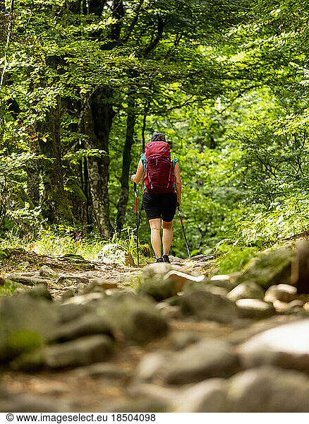 Women hiking through forest and rocks above Lac Vert at Col de la Schlucht in Vosges  France