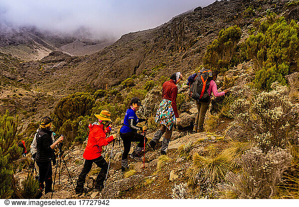 Women on their way up Mount Kilimanjaro  UNESCO World Heritage Site  Tanzania  East Africa  Africa