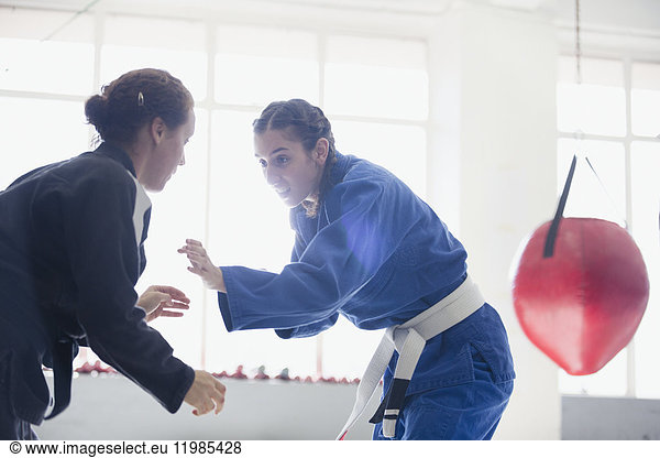 Women practicing judo in gym