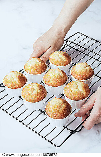 Women's hands holding cooling rack with muffins
