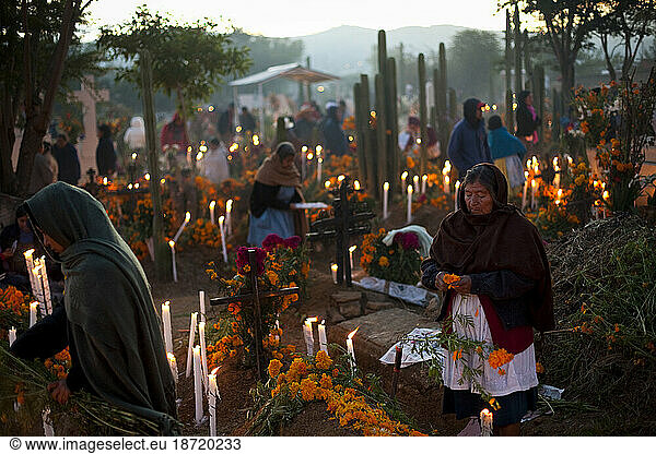 Women spread flowers on graves in honor of deceased family members for 'Dia de los Muertos' or Day of the Dead in Oaxaca  Mexico.