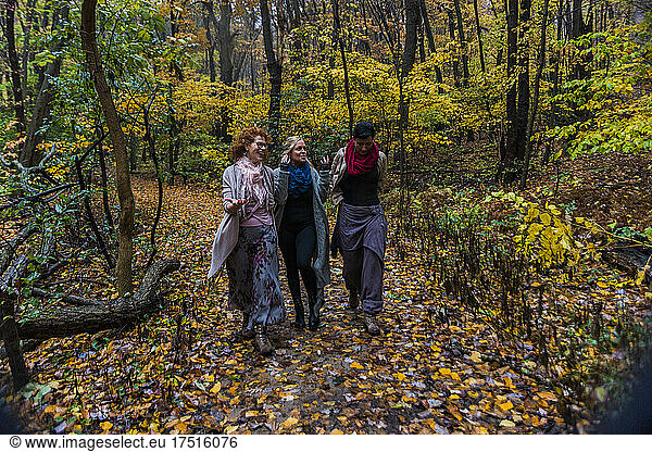 Women walking in the woods talking