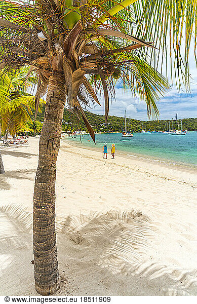 Women walking on palm-fringe beach on tropical island  Caribbean