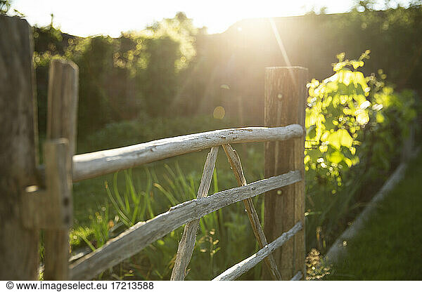 Wood gate in sunny idyllic summer garden