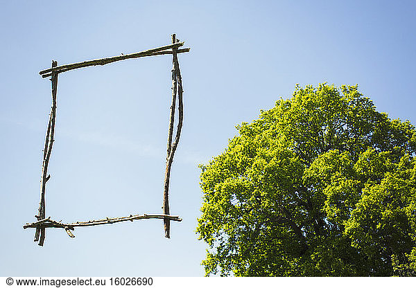 Wood stick picture frame against sunny blue sky with tree
