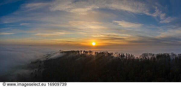 Wooded hill rises from cloud cover at sunrise  Aargau  Switzerland  Europe