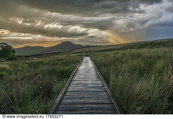Wooden boardwalk in The Peak District with dramatic sky  Wildboarclough  Cheshire  England  United Kingdom  Europe