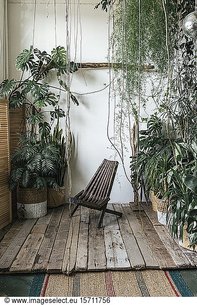Wooden chair and plants in winter garden