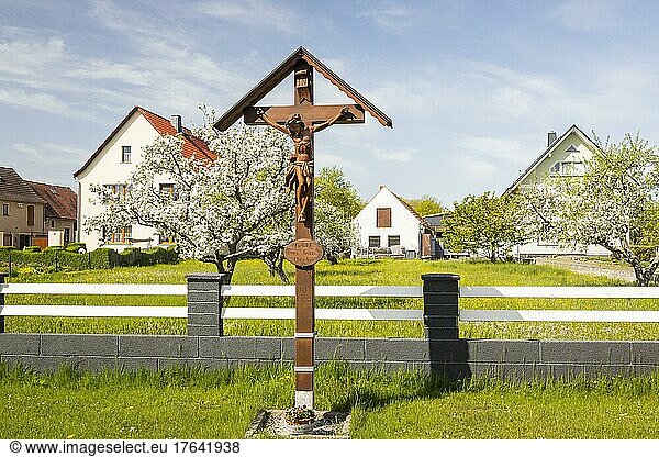 Wooden crucifix in the district of Saalau  Wittichenau  Saxony  Germany  Europe