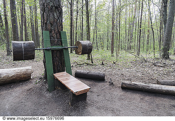 Wooden exercise equipment in the forest