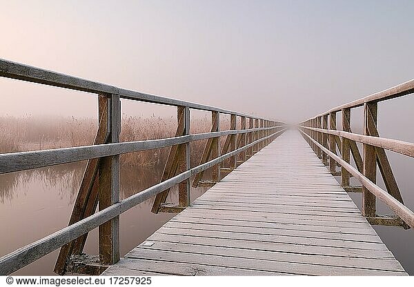 Wooden footbridge,  path,  fog,  foggy weather,  dawn,  frost,  Federsee lake,  Bad Buchau,  Upper Swabia,  Baden-Württemberg,  Germany,  Europe