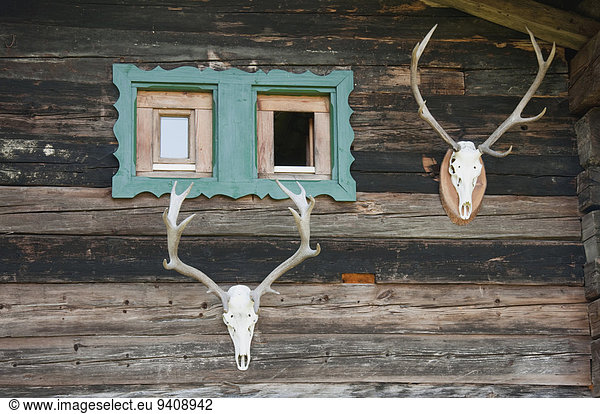 Wooden hut with deer antler and window