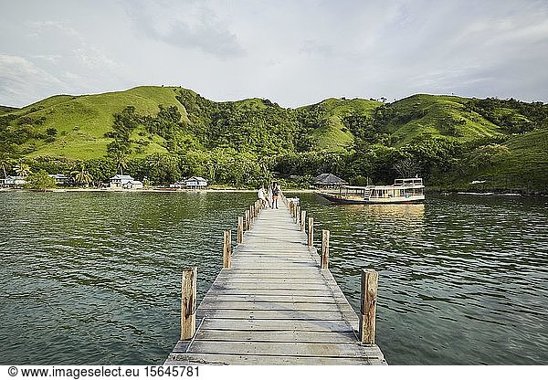 Wooden jetty in front of green hilly landscape with huts on the beach  Komodo  Indonesia  Asia