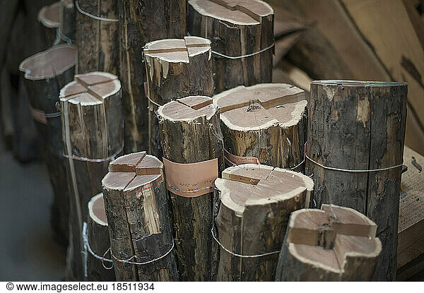 Wooden logs for instrument making at art studio