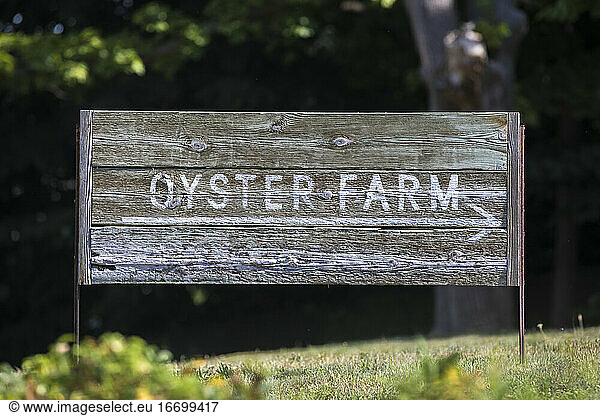 Wooden Oyster Farm Sign on grassy hill