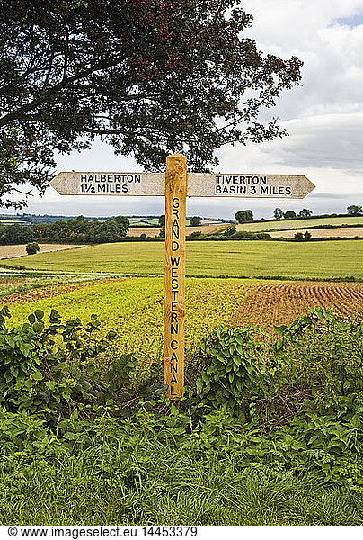 Wooden Signpost in Countryside