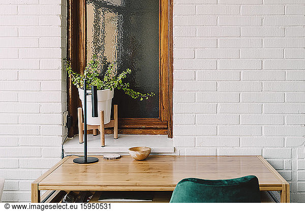 Wooden table and chair against houseplant on windowsill at home office
