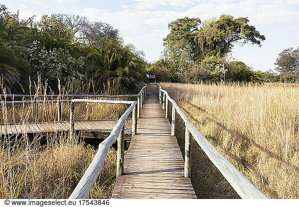 Wooden walkway across wetlands.