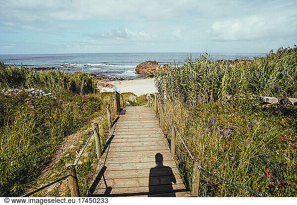 wooden walkway on the beach near the sea