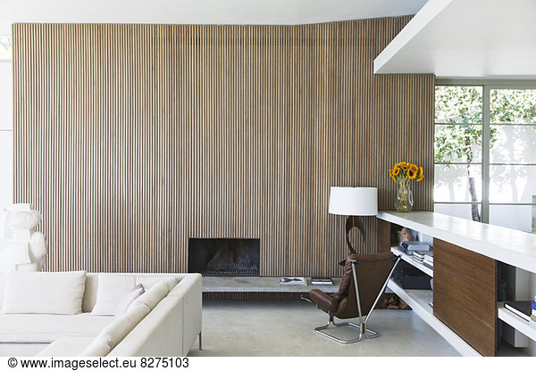 Wooden wall of modern living room