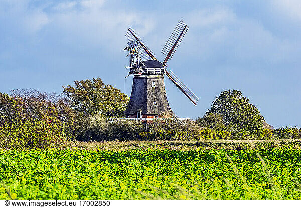 Wooden windmill in field