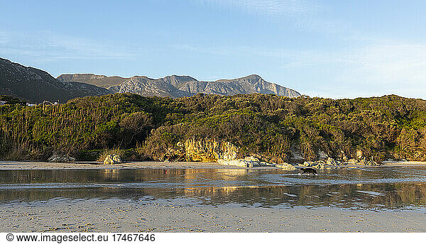 Woodland and mountains scenery  a small sheltered sandy beach on the Atlantic shore.