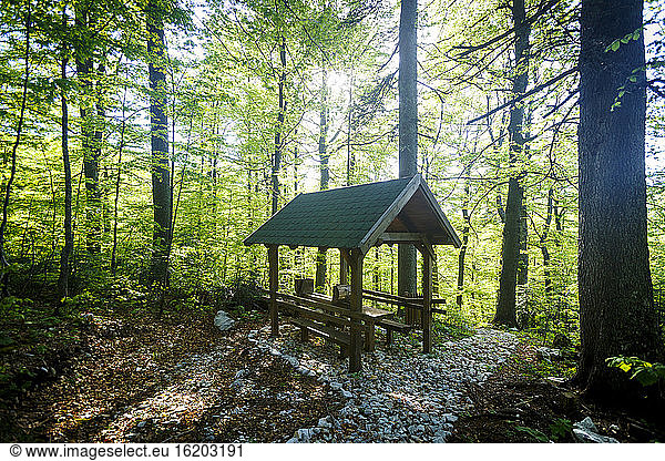 Woodlands and picnic hut  Pecina Megara near Tarcin  Bosnia and Herzegovina