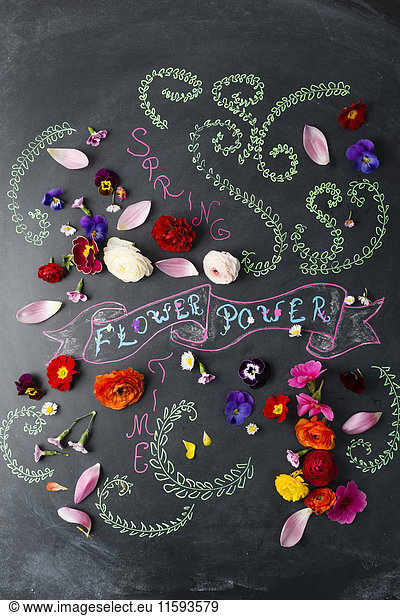 Word Flower Power und Blüten an der Tafel
