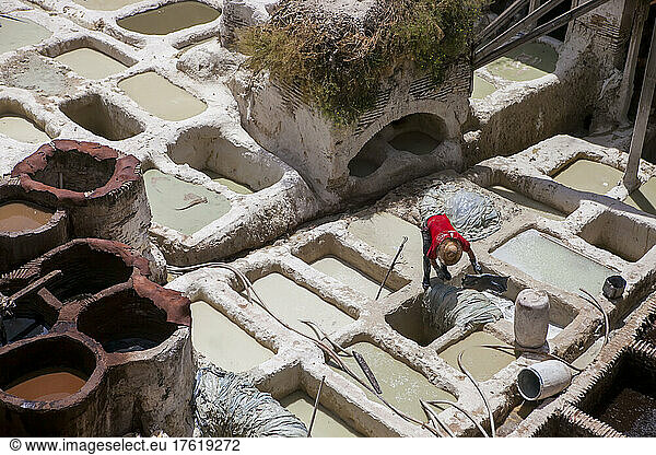 Worker prepare skins for the tannery process; Fes  Morocco