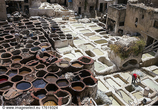 Worker prepare skins for the tannery process; Fes  Morocco
