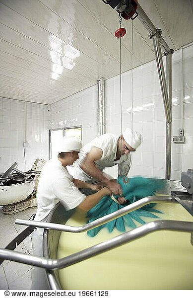 Workers making cheese in Carmelo  Uruguay.