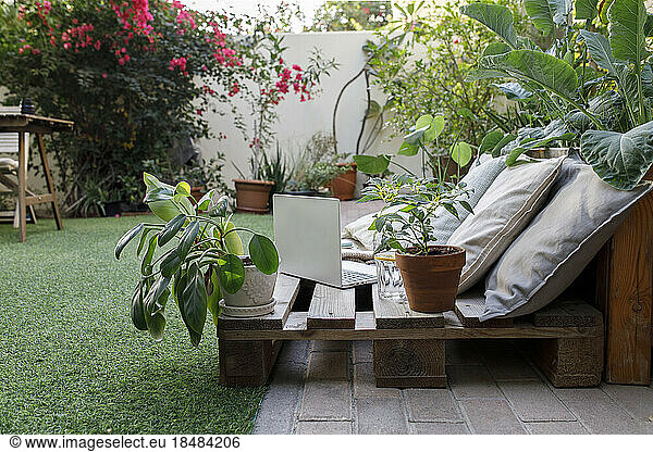 Working space with potted plants in backyard