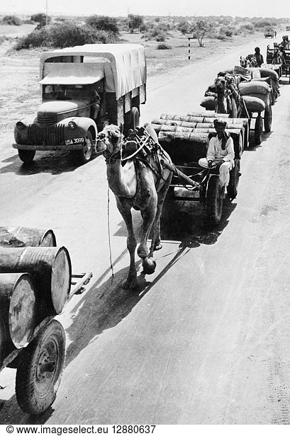 WORLD WAR II: INDIA. Military vehicles and camel-drawn carts carrying supplies along a road in India during World War II.