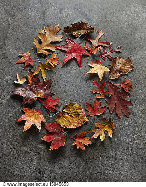 Wreath of Fall Leaves