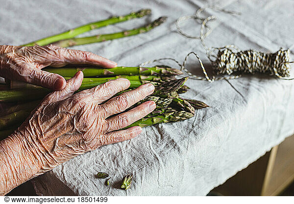 wrinkled hands of an old woman tying green asparagus