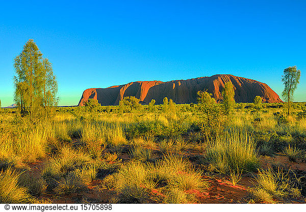Wunderschöne Landschaft des riesigen Monolithen Ayers Rock (Uluru) von der Talinguru Nyakunytjaku Sunrise Aussichtsplattform im Uluru-Kata Tjuta National Park  UNESCO Weltkulturerbe  Outback  Northern Territory  Australien  Pazifik