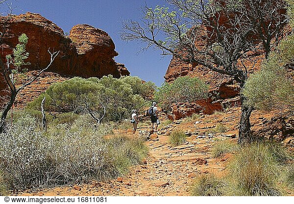 Wunderschöne Natur in der Nähe von Alice Springs  Northern Territory  Australien.