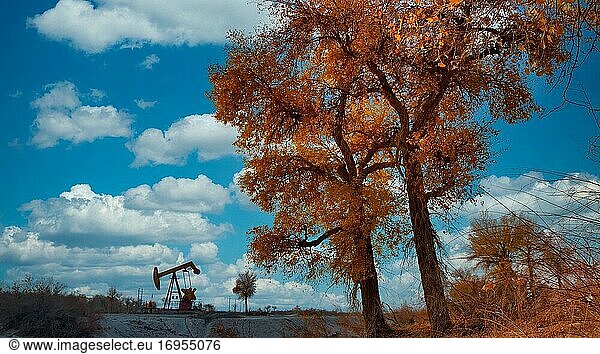 Xinjiang desert oil field in China