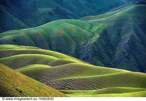 Xinjiang ili kara Grasland gekrönt den menschlichen Körper