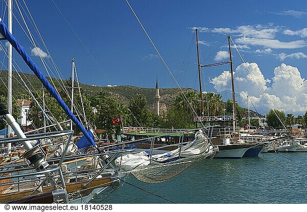 Yachthafen mit Güllettbooten in Bodrum  türkische Ägäis  türkische Ägäis  Türkei  Asien