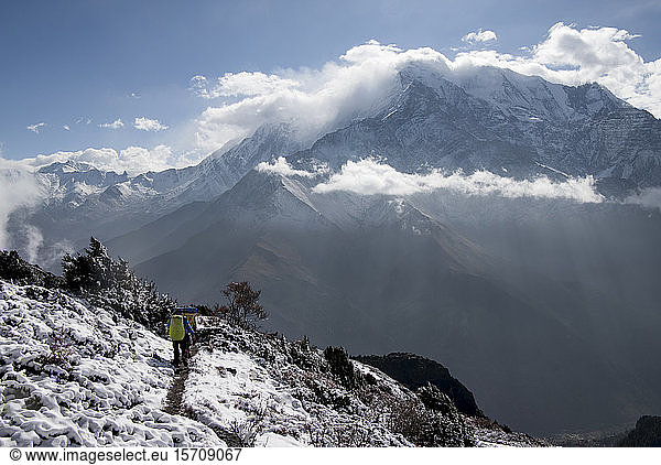 Yak Kharka  Nilgiri  Dhaulagiri Circuit Trek  Himalaya  Nepal