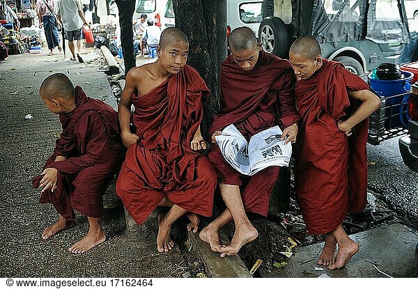 Yangon  Republik der Union Myanmar  Asien - Eine Gruppe buddhistischer Mönche in ihren safranfarbenen Gewändern liest eine Zeitung in der Innenstadt von Yangon  der ehemaligen Hauptstadt Rangun.