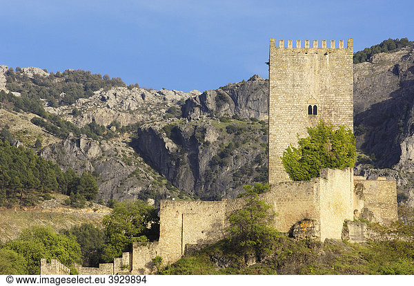 Yedra Burg im Dorf Cazorla  Sierra de Cazorla  Segura y Las Villas Naturpark  Provinz JaÈn  Andalusien  Spanien  Europa