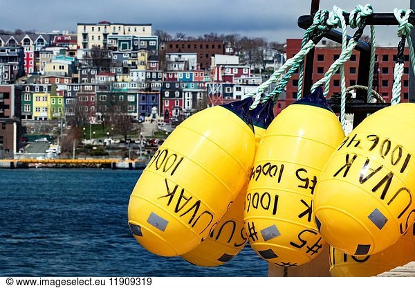 Yellow bouys with colorful city of St. John's  Avalon Peninsula  Newfoundland  Canada.