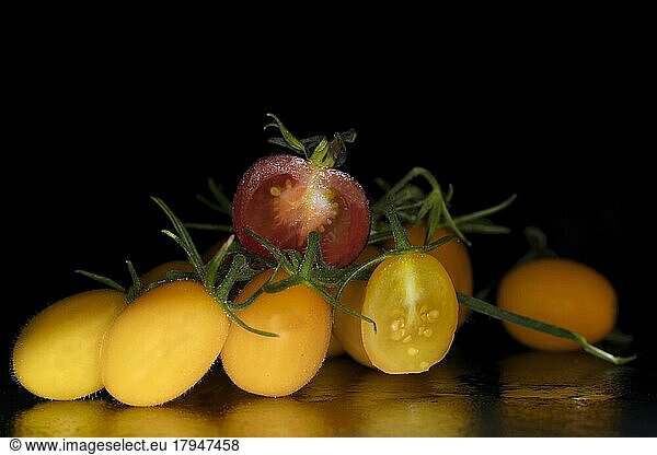 Yellow date vine tomatoes (Solanum lycopersicum) on the panicle and a Black Krim  black tomato  studio shot with black background