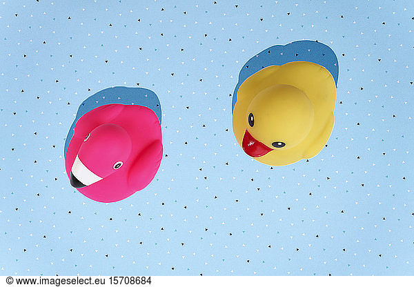 Yellow duck and pink flamingo  bath toys on blue background with copy space
