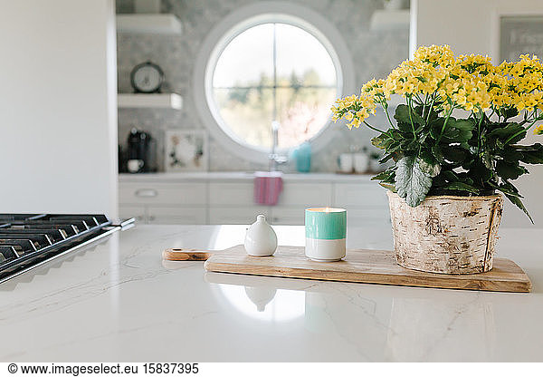 Yellow Flowers in a white kitchen