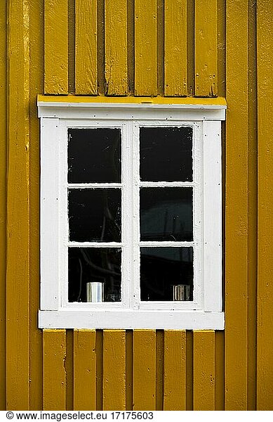 Yellow house wall with white window  rorbuer  typical wooden houses  Lofoten  Norway  Norway  Europe