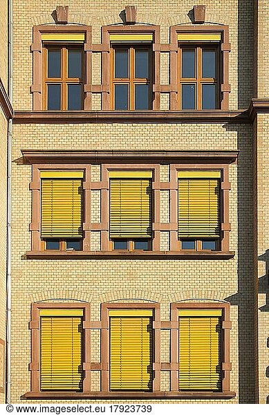 Yellow house wall with window  roller shutter  blind at the Robert Koch School  house wall  facade  yellow  monochrome  closed  open  Höchst  Main  Frankfurt  Hesse  Germany  Europe